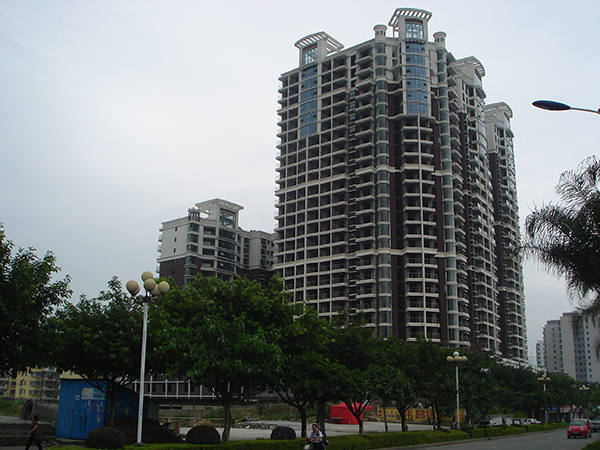 福建龍巖棕梠群